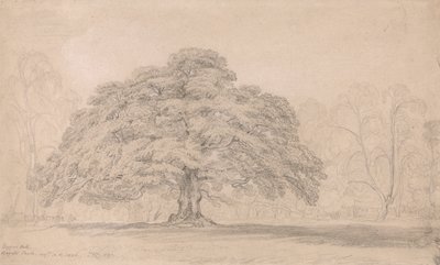 The Beggars Oak, Bagots Park, Aug. 12th, 1820 (A Celebrated Ancient Tree on Lord Bagots Blithfield) by James Ward